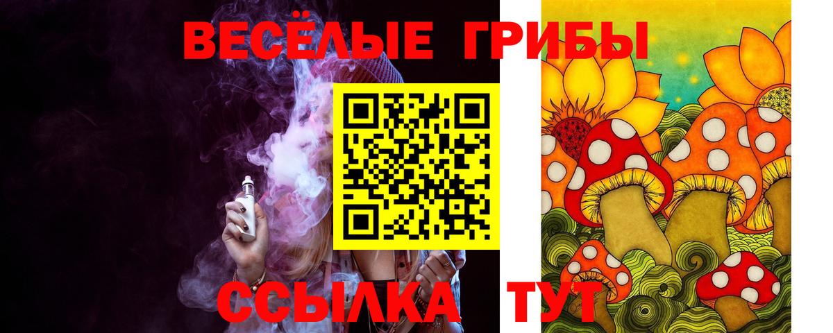 Моршанск  Галлюциногенные грибы MAGIC MUSHROOMS  Вход с VPN  купить наркотик  Псилоцибиновые грибы мухоморы 