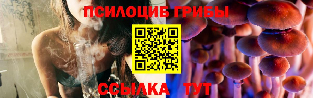 Галлюциногенные грибы Psilocybe Моршанск